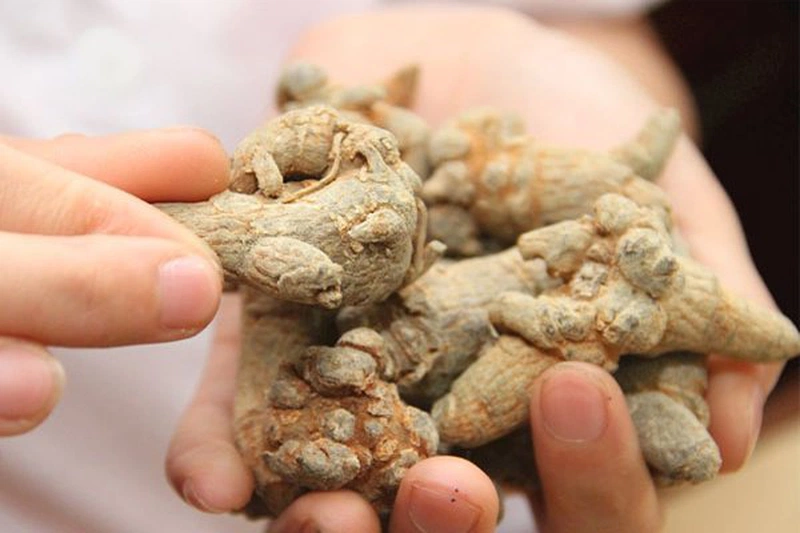 Hậu sản mòn là gì? Những bài thuốc dân gian chữa hậu sản mòn 4