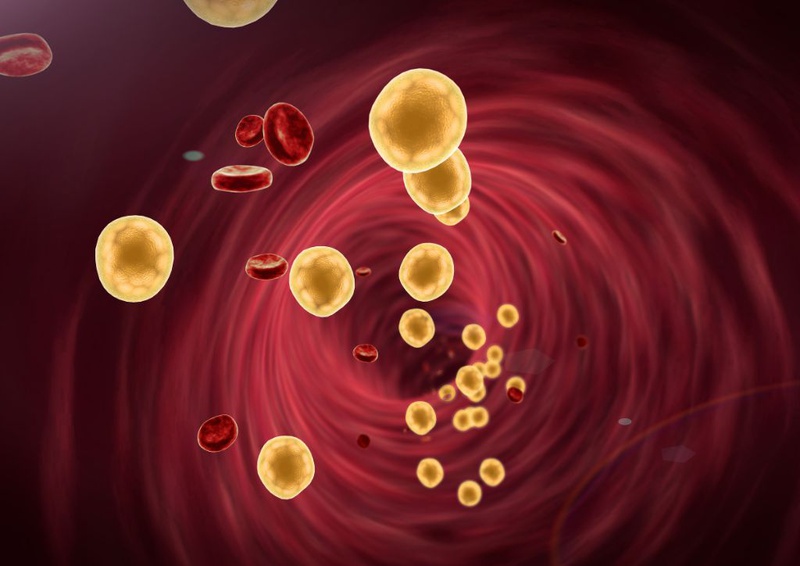 HDL cholesterol là gì và những cảnh báo sức khỏe khi chỉ số HDL cholesterol giảm 2