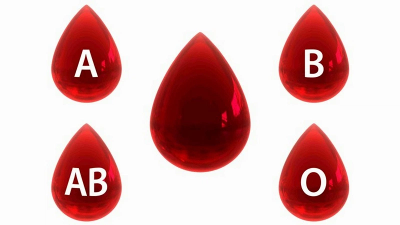 Hiến máu có giảm cân không? Lợi ích của việc hiến máu là gì? 4