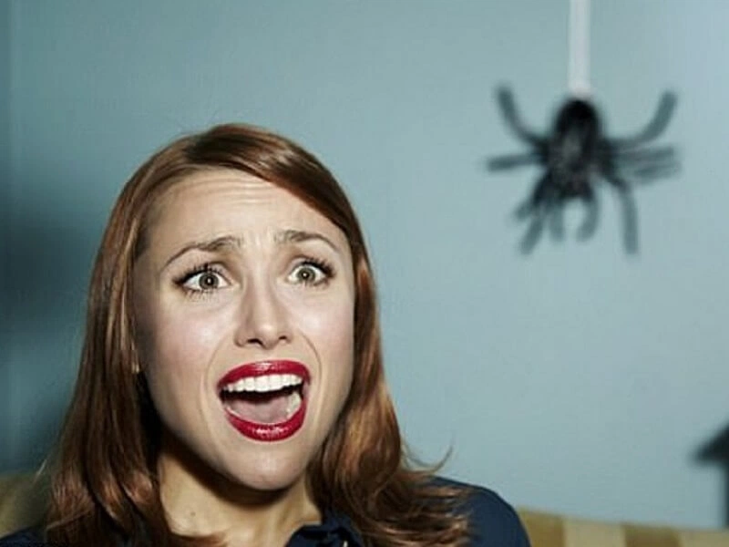 Hội chứng sợ nhện có cách nào khắc phục không?  2