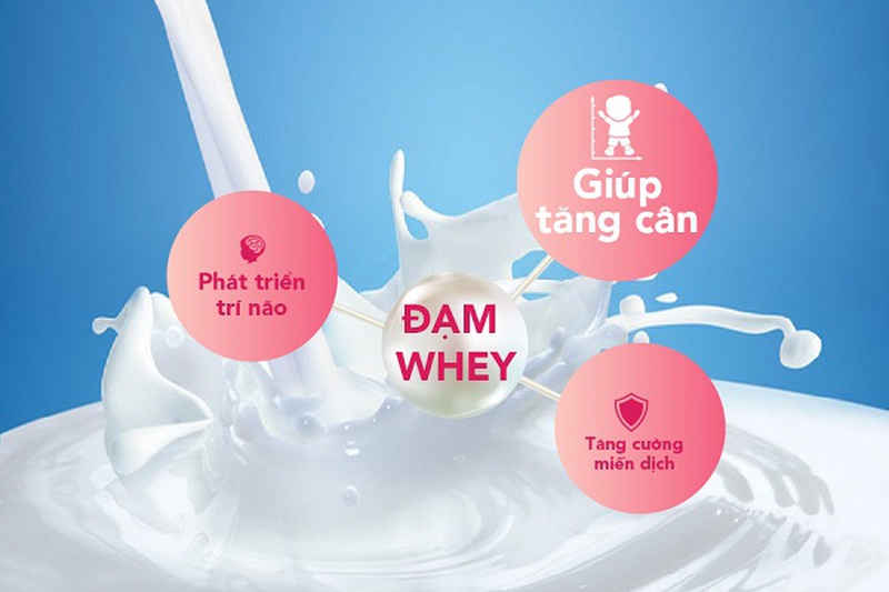 Hỏi đáp: Sữa Nutren Junior có mấy loại?2