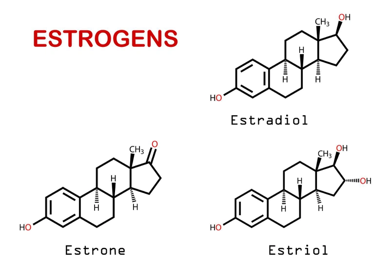Estrogen là hooc mon sinh dục nữ