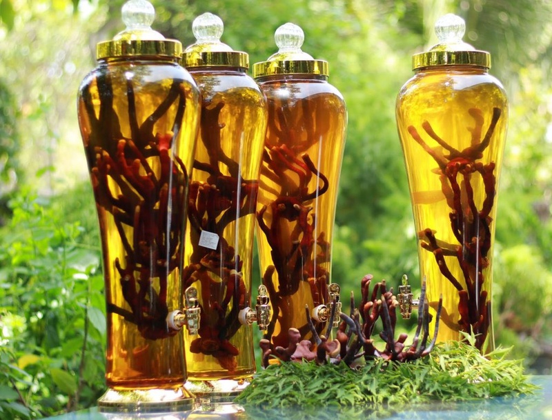 Hướng dẫn cách bảo quản nhung hươu tươi giữ nguyên dinh dưỡng 2