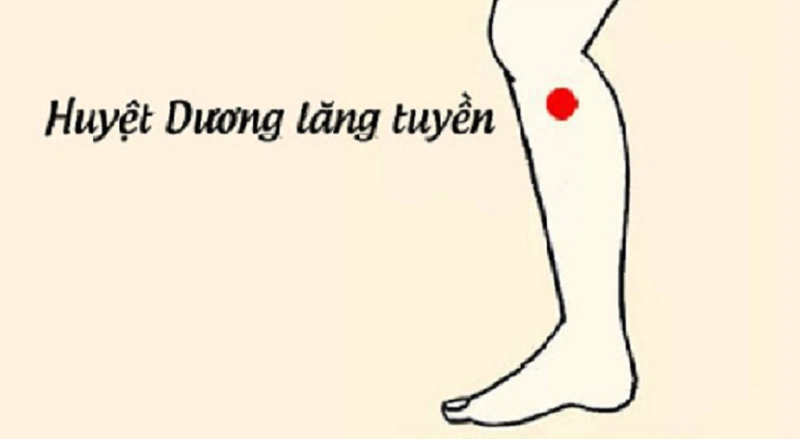 Huyệt Dương Lăng Tuyền là gì