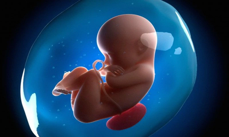 Tính tuổi thai giúp mẹ và bác sĩ theo dõi, đánh giá sự phát triển của thai nhi trong bụng mẹ