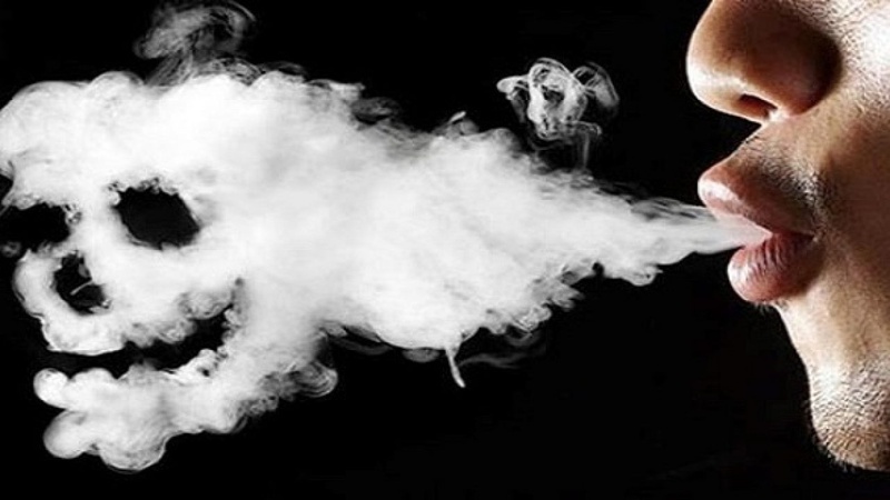 Thuốc lá hủy hoại môi trường sống ra sao? 1