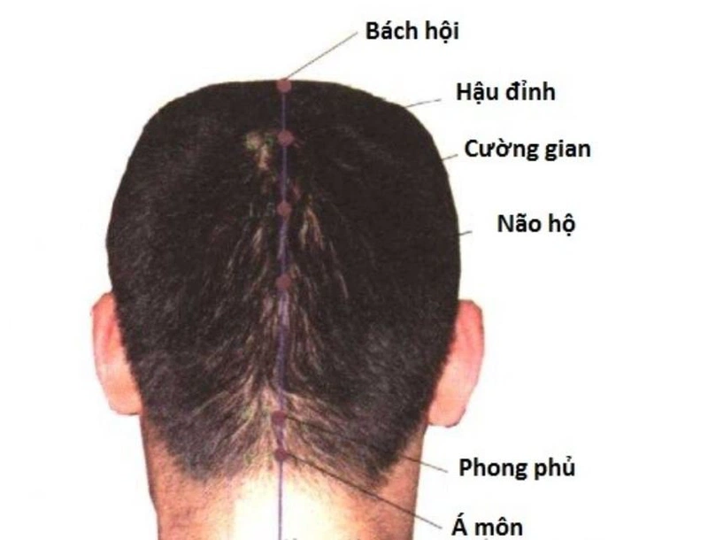 Huyệt á môn nằm tại vị trí điểm chính giữa cổ và phần chân tóc sau gáy