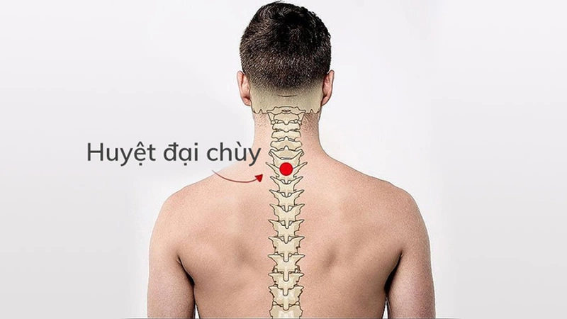 Huyệt Đại Chùy