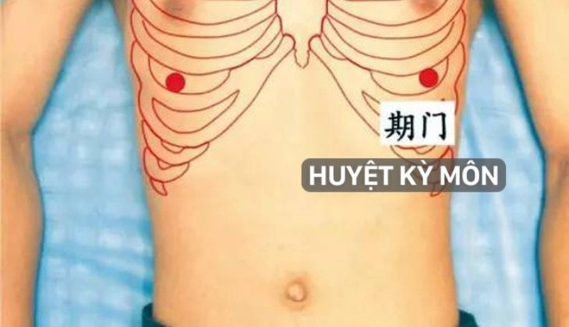Huyệt kỳ môn nằm vị trí gần ngực dễ xác định