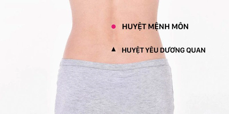 Mệnh Môn Huyệt: Tìm hiểu ý nghĩa, cách xác định và ứng dụng phong thủy