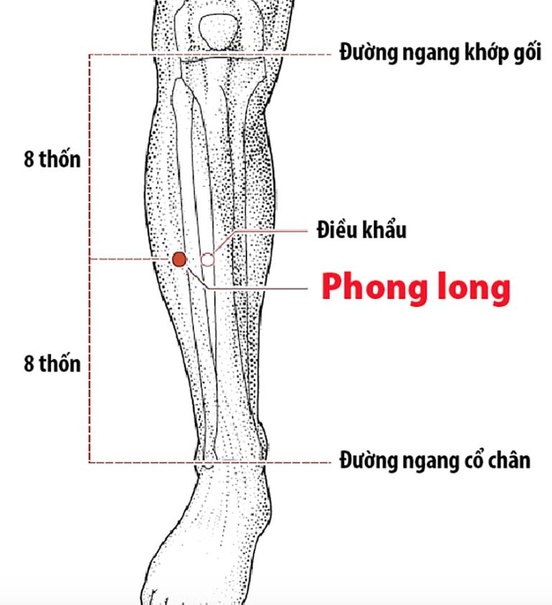 Huyệt Phong Long là gì