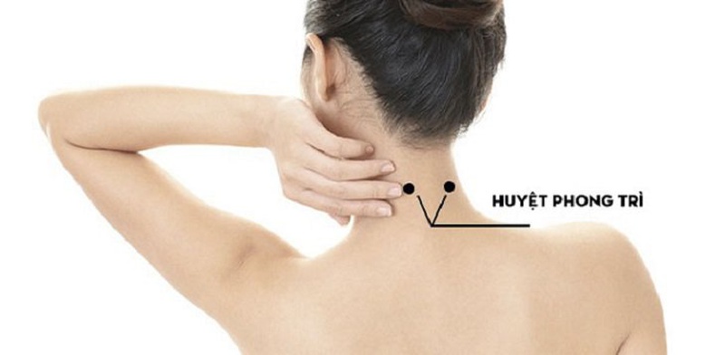 Huyệt phong trì là huyệt vị thứ 20 trong nhóm Kinh Đởm và mạch Dương Duy
