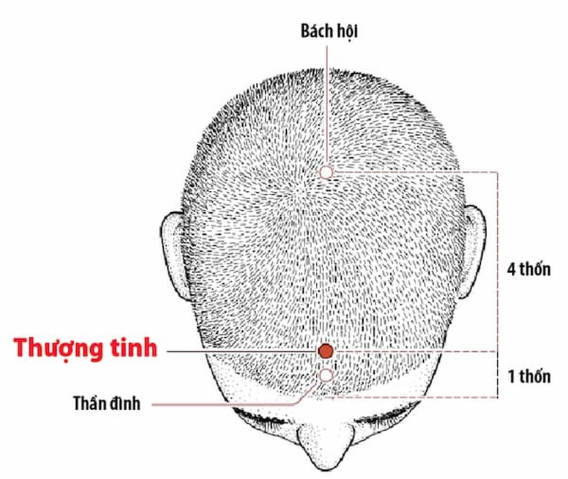 Huyệt thần đình là huyệt đạo số 28 trong 108 đại huyệt