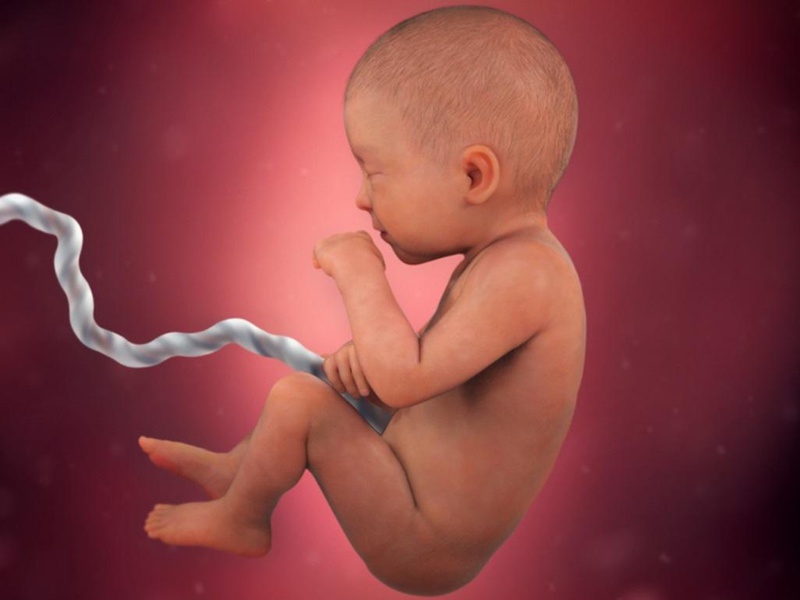 Kẹp cắt rốn chậm là gì? Lợi ích của phương pháp kẹp cắt dây rốn chậm có thể bạn chưa biết 1