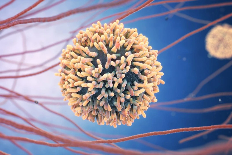 Khả năng tấn công hệ miễn dịch như virus HIV của SARS-CoV-2 1