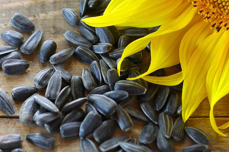 Khám phá 6 loại hạt giúp tóc khỏe mạnh mà bạn nên ăn mỗi ngày 2
