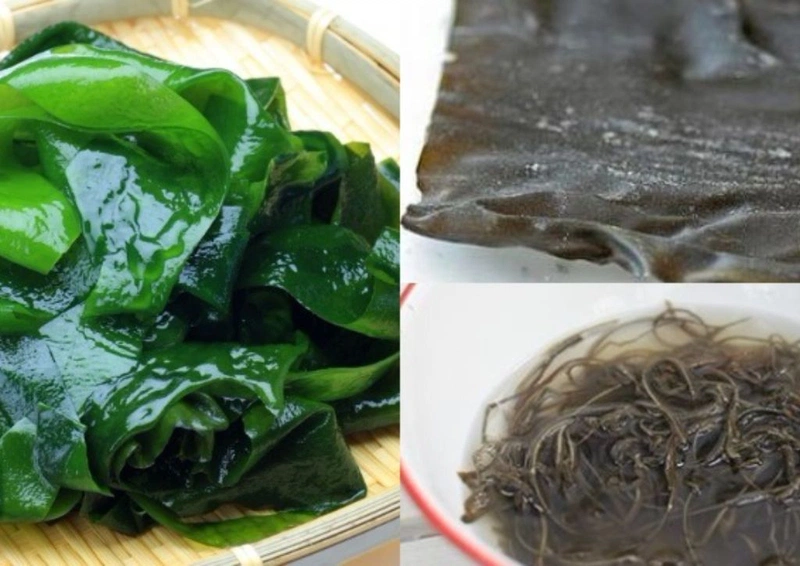 Khám phá những 5 tác dụng tuyệt vời của phổ tai đối với sức khỏe  1
