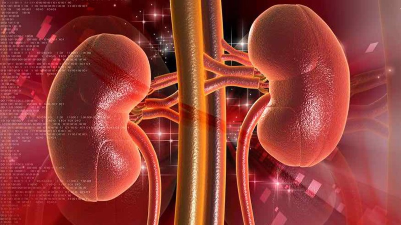 Khám sỏi thận như thế nào để phát hiện bệnh? 1