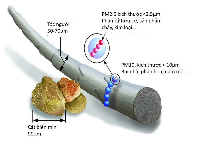 Vài nét về khẩu trang chống bụi PM 2.5 1