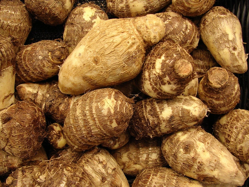 khoai sọ bao nhiêu calo 1