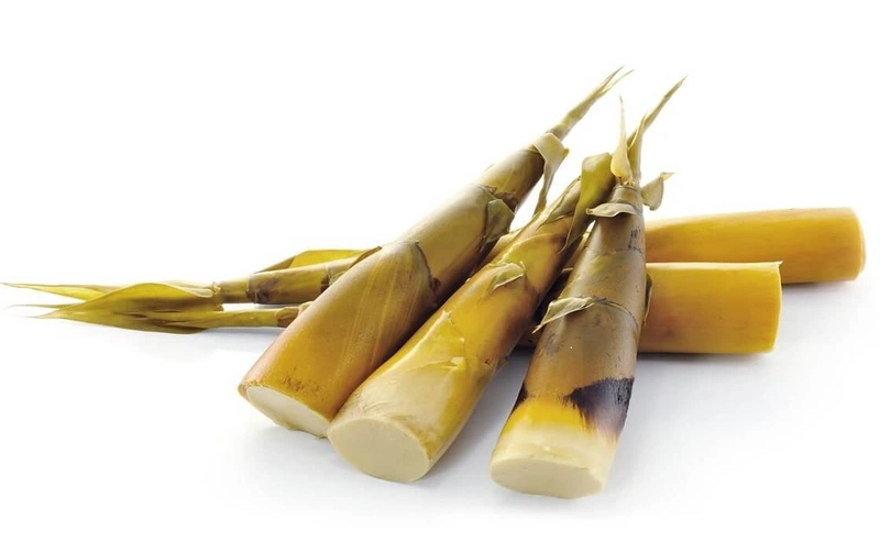 Không cho con bú bao lâu thì mất sữa 3