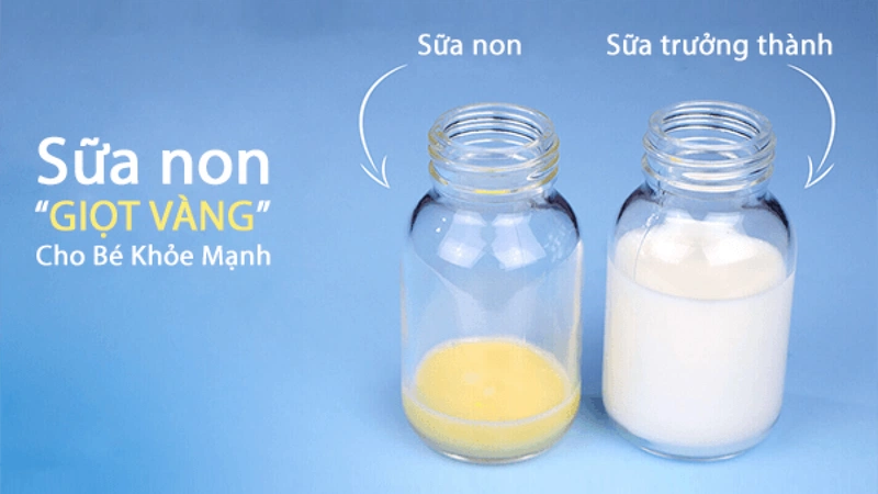 Không có sữa non khi mang thai thì có sao không 4