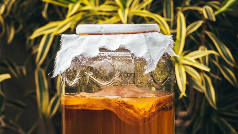 Kombucha kết hợp với gì ? Gợi ý công thức pha trà Kombucha ngon, dễ uống - Hình 3