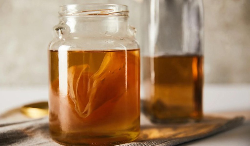 Kombucha là gì? Cách nuôi và bảo quản Scoby trong trà Kombucha 2