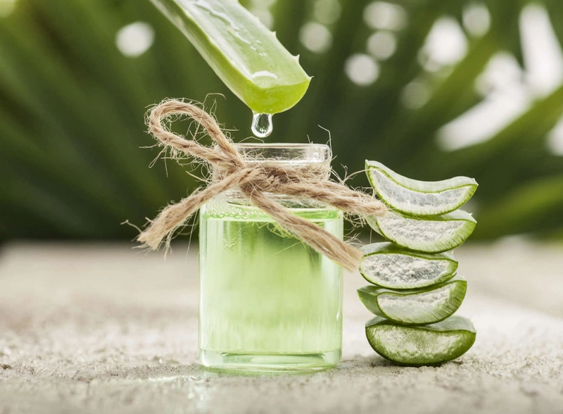 Thoa nhẹ nhàng ruột nha đam lên vùng da bị mụn giúp giảm nhanh chóng tình trạng da mẩn đỏ và kích ứng do mụn