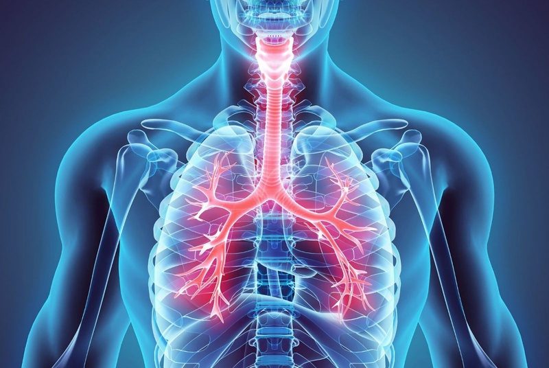 Người bị khí phế thũng đều có nguy cơ mắc bệnh phổi tắc nghẽn mạn tính
