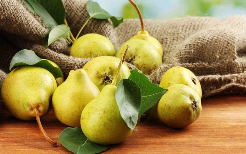 Ăn lê rất có lợi cho sức khỏe
