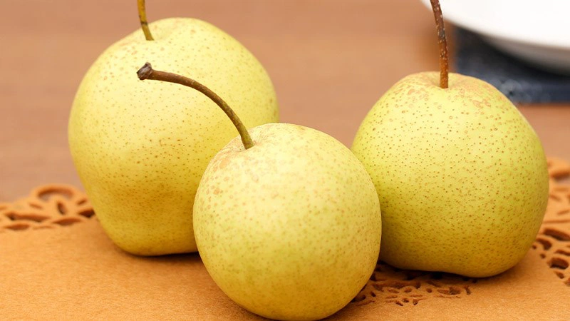 Quả lê rất giàu chất dinh dưỡng