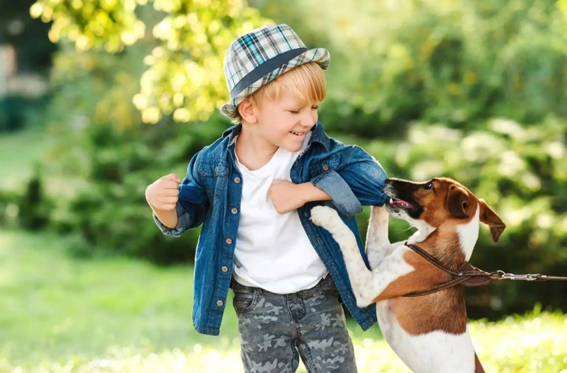tiêm phòng dại cho chó bao nhiêu tiền 1