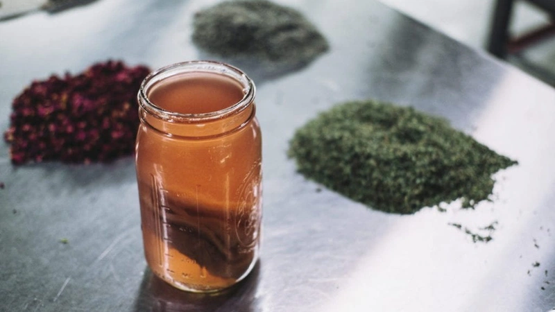 Liệu kombucha để lâu có chết không - Hình 2