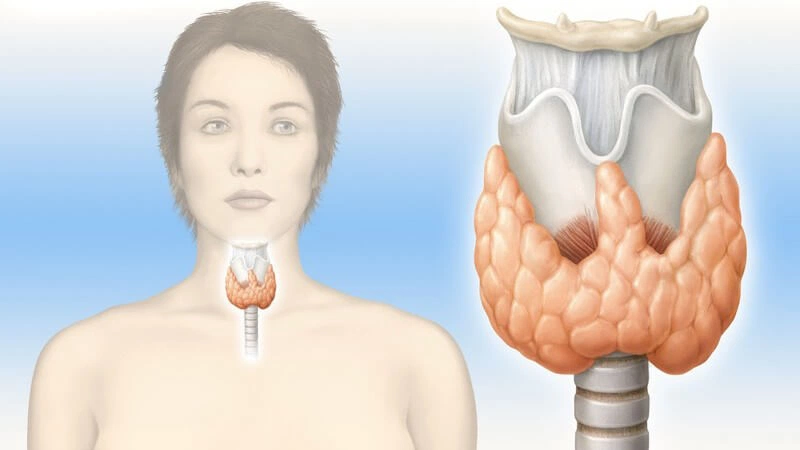 Liệu xét nghiệm bướu cổ có cần nhịn ăn hay không 2