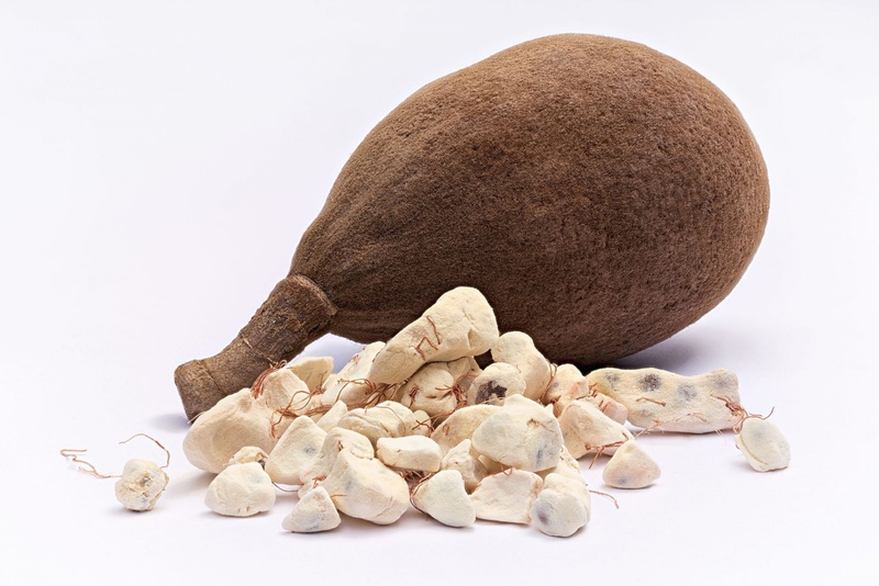 Những lợi ích của baobab không phải ai cũng biết 3