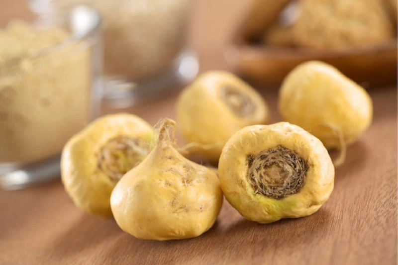 Những lợi ích của củ Maca Peru đối với sức khỏe của cả nam và nữ giới 3