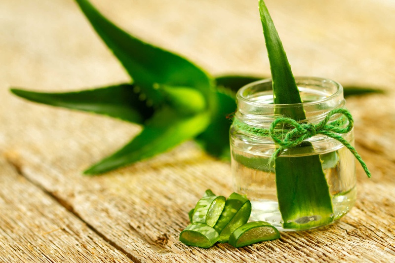 Bạn đã biết hết những lợi ích của lô hội đối với sức khỏe chưa 2