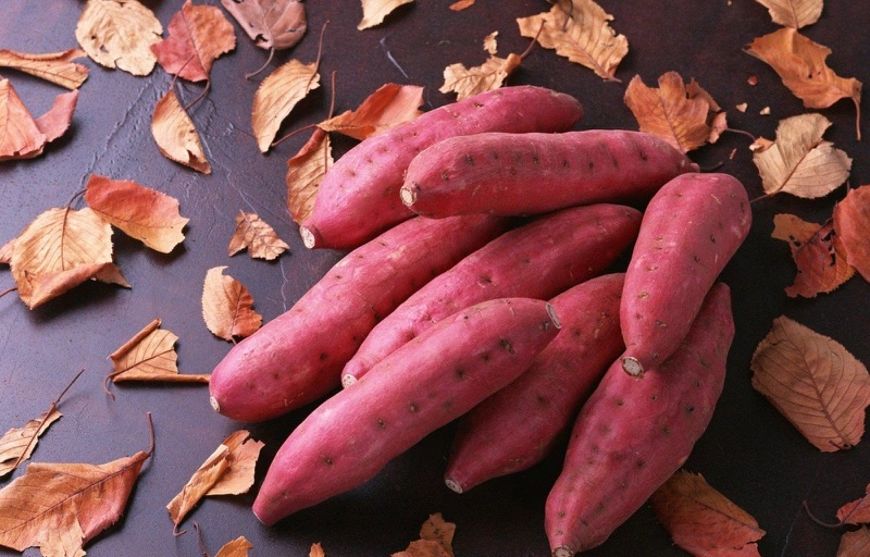 Lợi ích khi ăn khoai lang buổi sáng1
