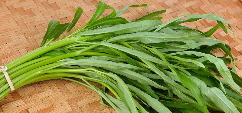 phau thuat long quam kieng an gi 3
