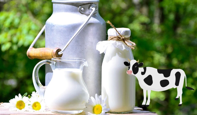Low carb có được uống sữa không đường? Loại sữa tốt cho low carb? 1