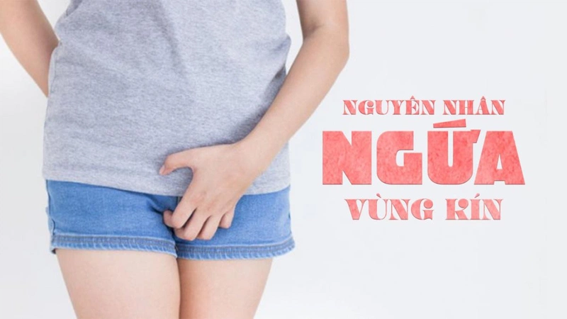 Các nguyên nhân gây ngứa vùng kín.