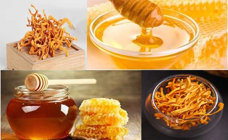 chế biến đông trùng hạ thảo ngâm với mật ong