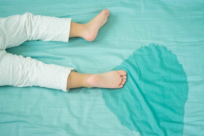 Mách bạn một số loại thực phẩm chữa đái dầm ở trẻ em 1