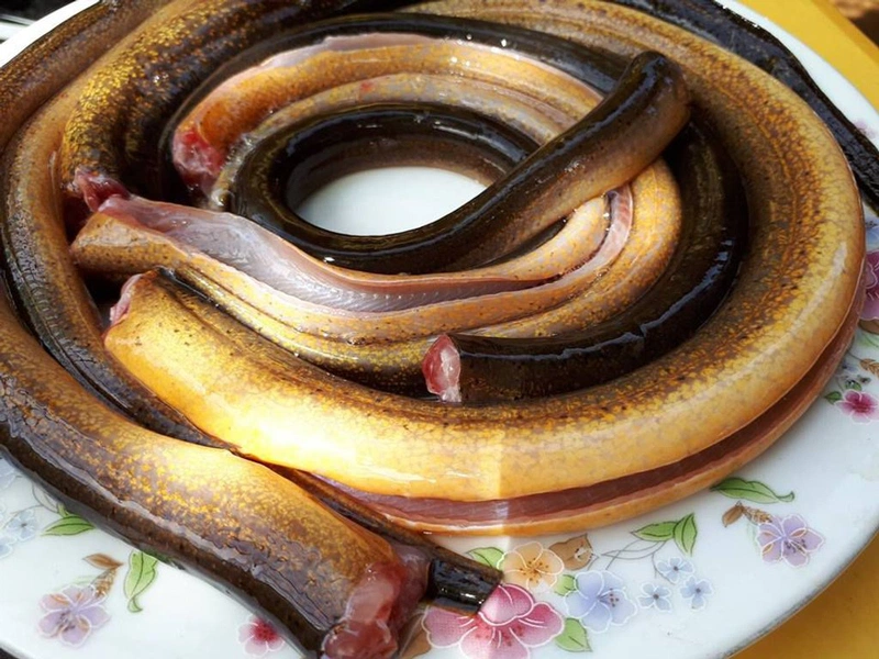 Mách mẹ cách cháo lươn rau mồng tơi cho bé ăn dặm vừa ngon vừa bổ 2