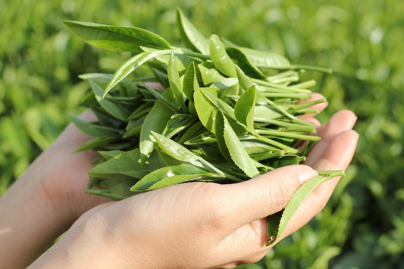 Mách mẹ mẹo dân gian điều trị rôm sảy cho con hiệu quả 2
