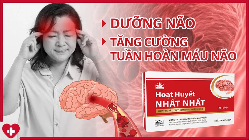 Top 6 thuốc bổ não tăng cường trí nhớ cho học sinh 2