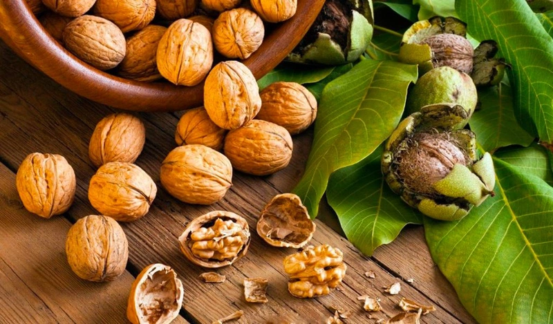 Mẹ bầu ăn hạt gì để con thông minh? Bổ sung vào thời điểm nào tốt nhất? 1