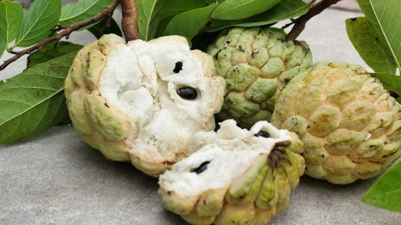 Mẹ sau sinh ăn na được không? Lợi ích của na cho mẹ sau sinh và các lưu ý cần thiết