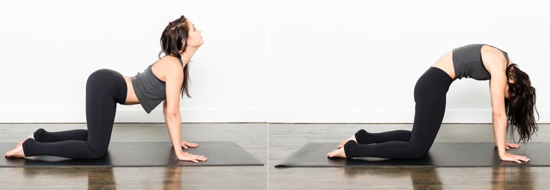 yoga giảm đau bụng kinh 2